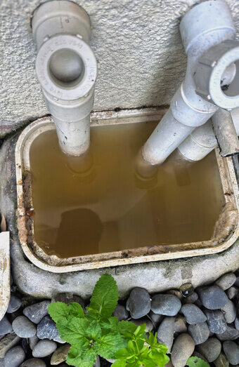 https://blockeddrainsforrestdale.com.au/uploads/2025/07/blocked-drains-82500.jpg