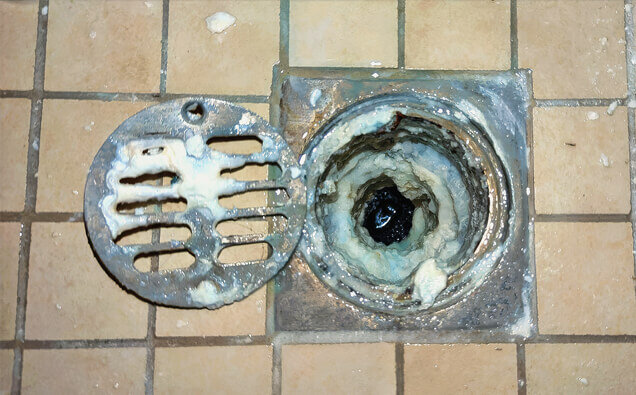 https://blockeddrainsforrestdale.com.au/uploads/2025/07/blocked-shower-drains-33151.jpg