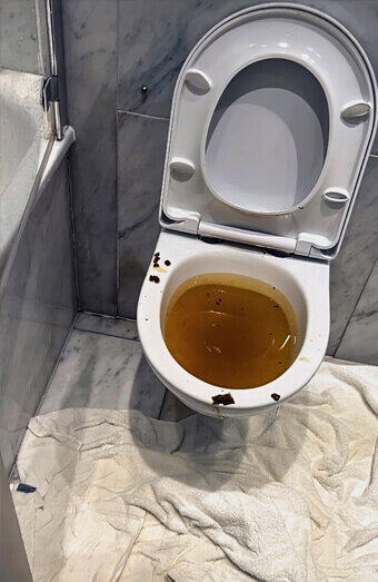 https://blockeddrainsforrestdale.com.au/uploads/2025/07/blocked-toilet-27793.jpg