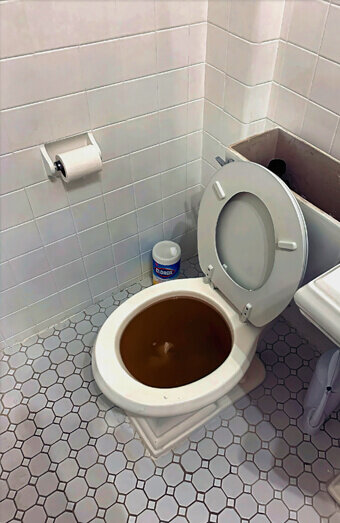 https://blockeddrainsforrestdale.com.au/uploads/2025/07/blocked-toilet-42230.jpg