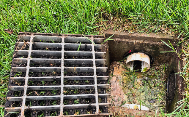 https://blockeddrainsforrestdale.com.au/uploads/2025/07/hero-blocked-sewers-40191.jpg