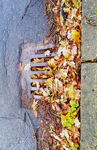 https://blockeddrainsforrestdale.com.au/uploads/2025/07/stormwater-drains-48051.jpg