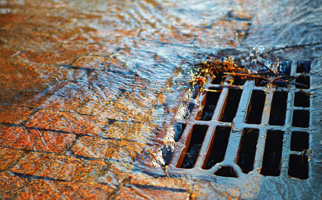 https://blockeddrainsforrestdale.com.au/uploads/2025/07/stormwater-drains-91028.jpg